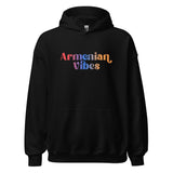 Armenian Vibes Adult Hoodie
